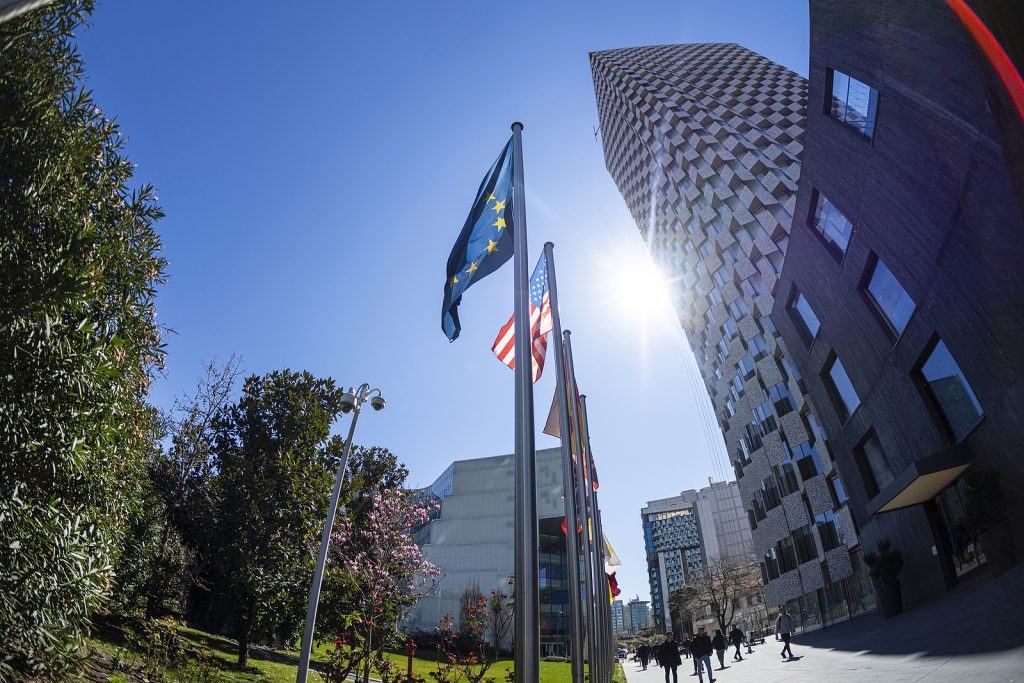 IT sector in focus Albania Emerging Europe