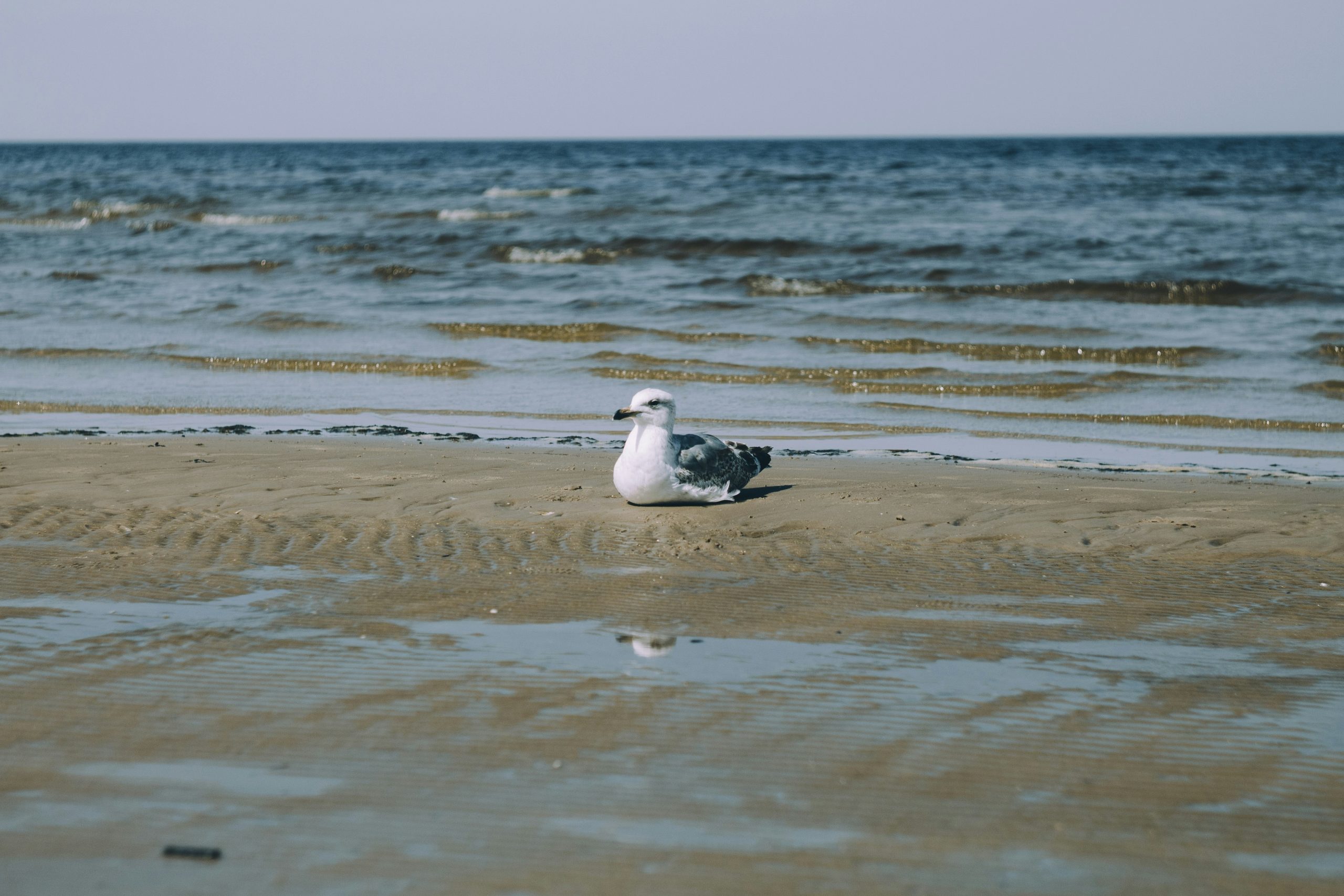 alexander-voronov-k62jF2wqeAw-unsplash