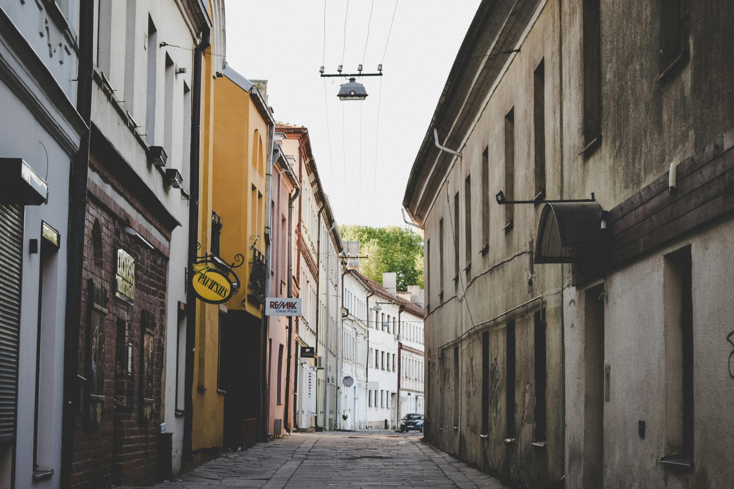 darya-tryfanava-GKDkMFuzzog-unsplash