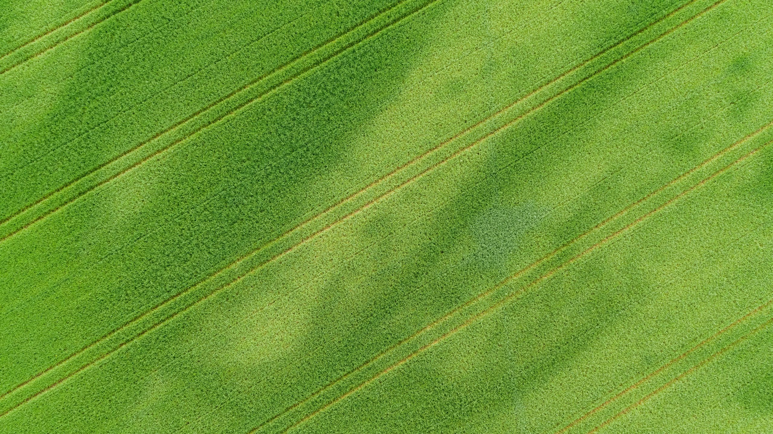 peter-wormstetter-yQaQXyv-Rf4-unsplash