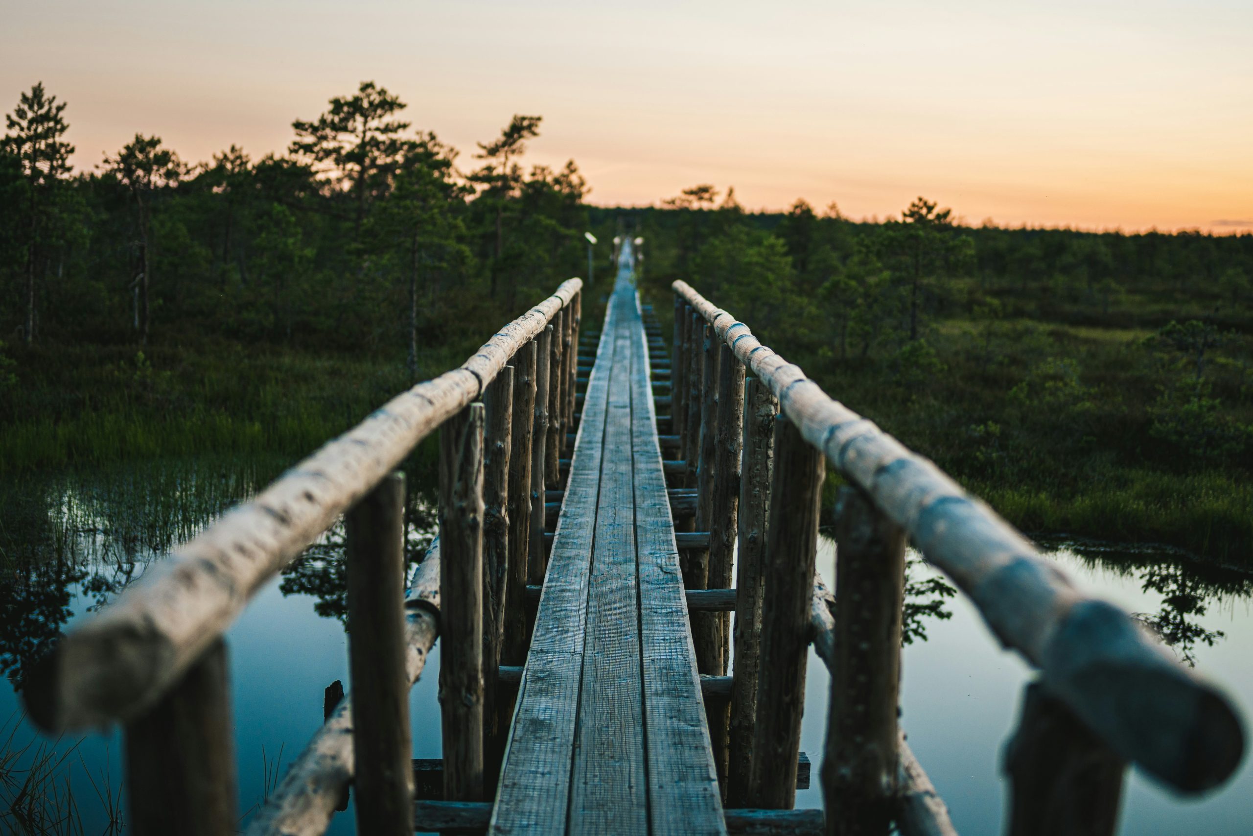 single-earth-CdslYn5ZNBc-unsplash