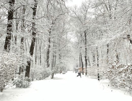 Climate adaptation: Preparing emerging Europe for extreme weather