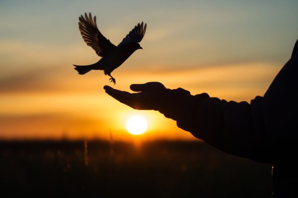 The last word: Reinvention also means letting go