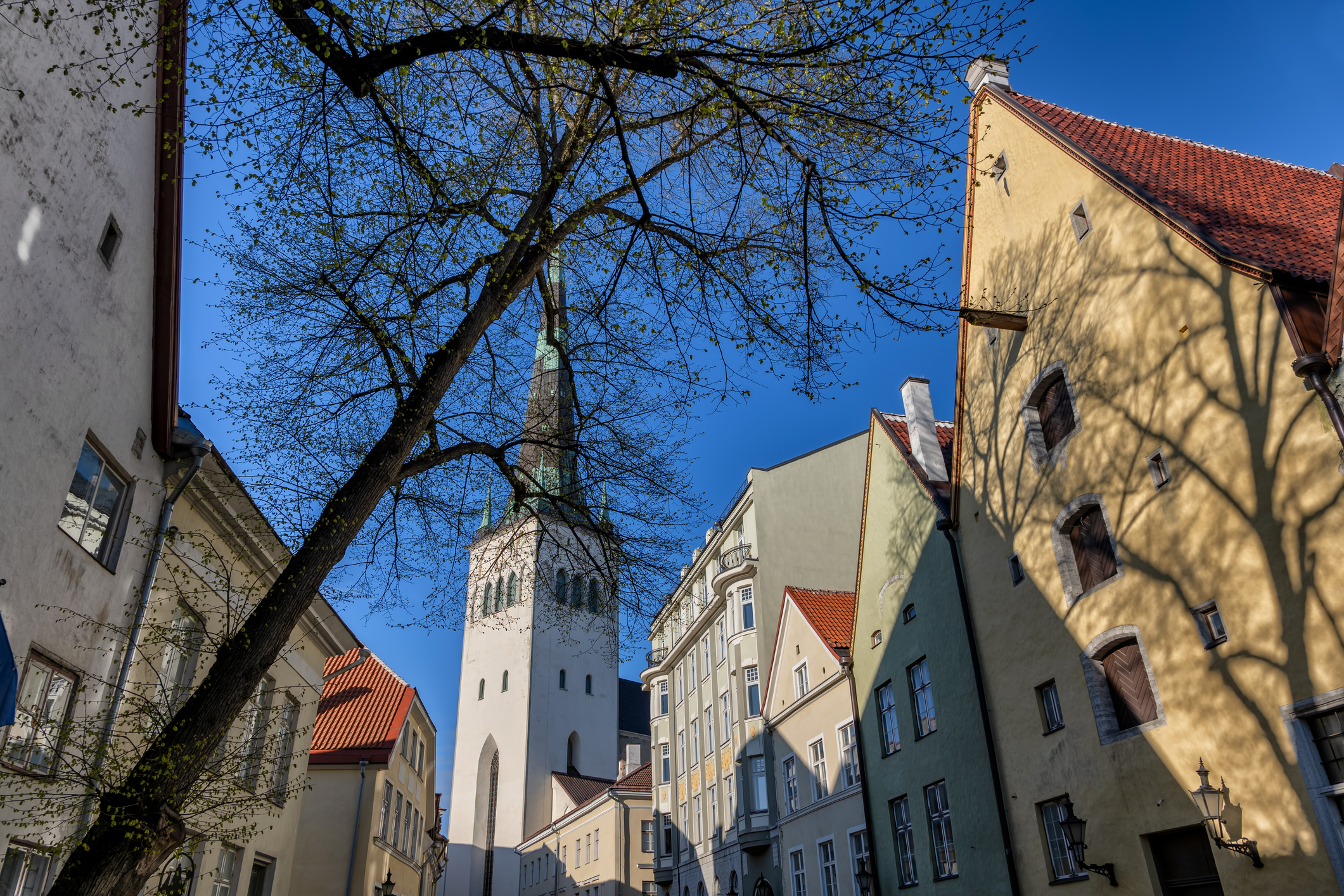 dreamstime_m_433820066