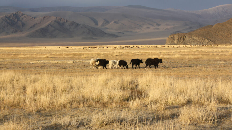 mongolia