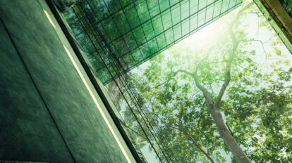 net zero