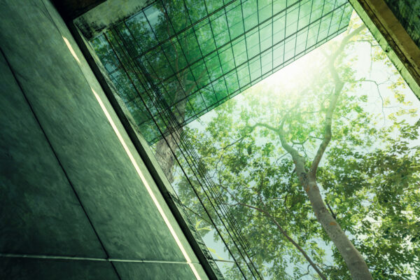 net zero