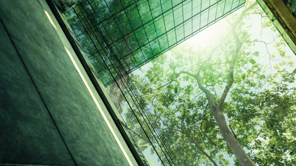net zero