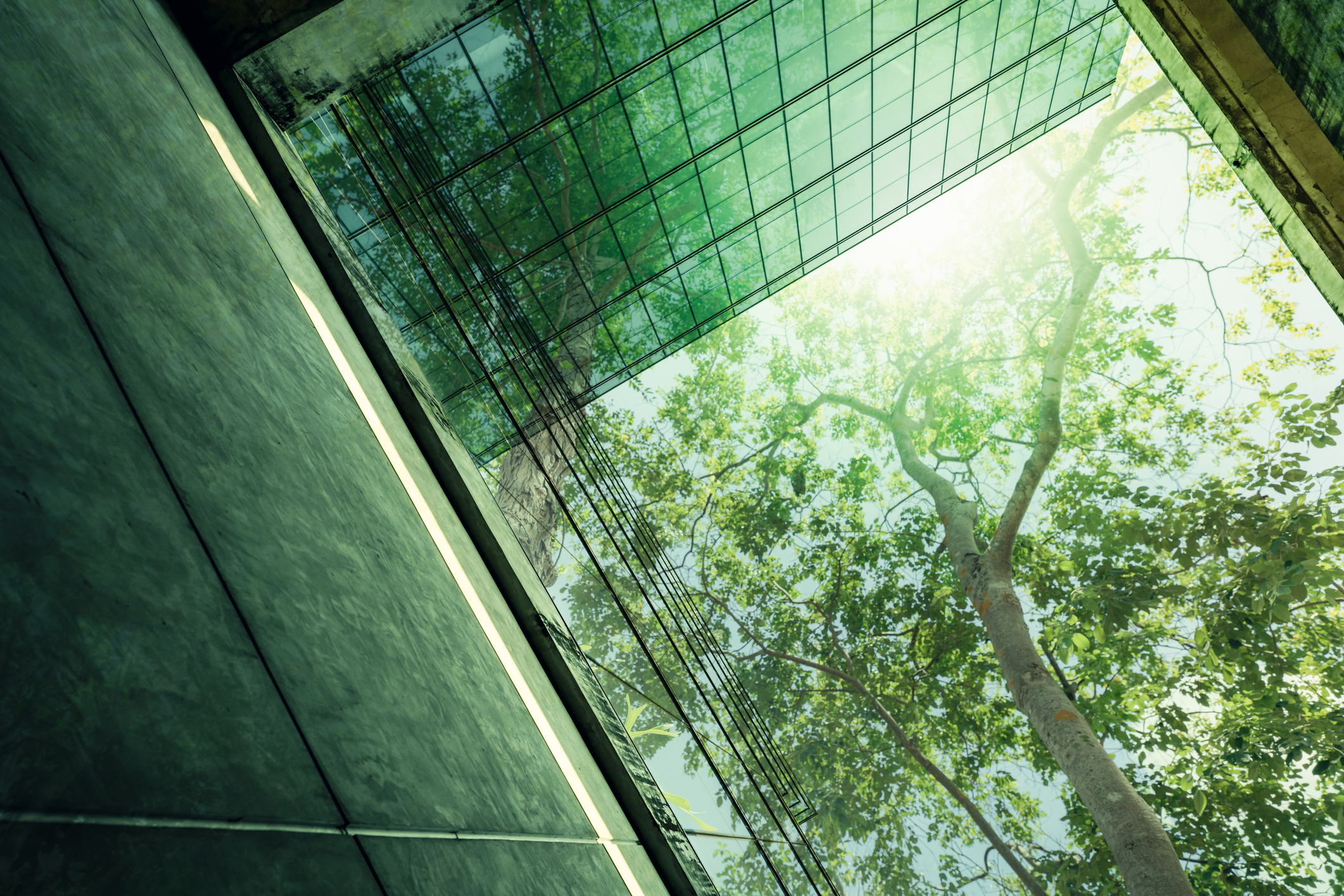 Rethinking… Net zero